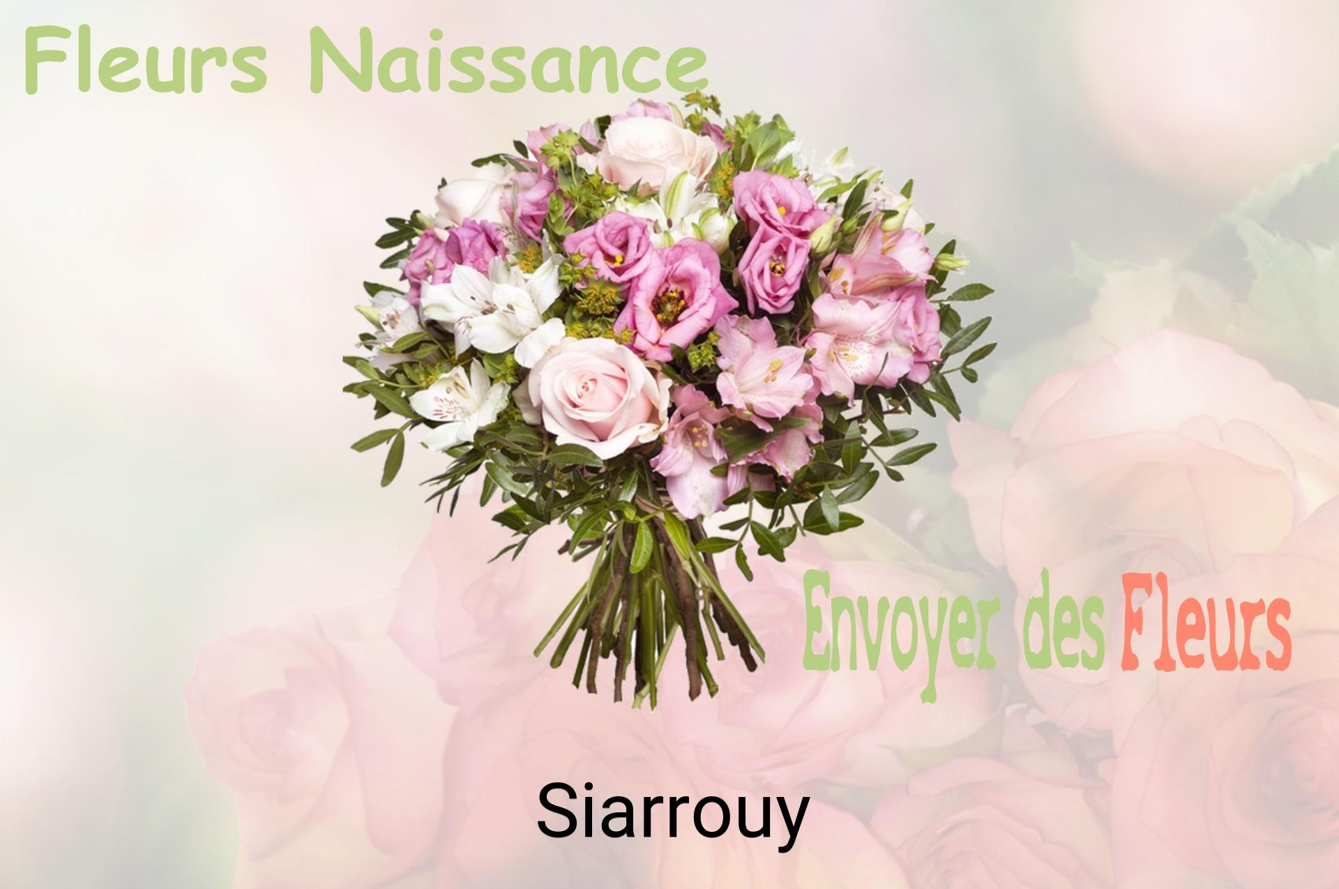 Bouquet de fleurs de naissance livré à Siarrouy
